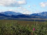 Tundra Wilderness Tour